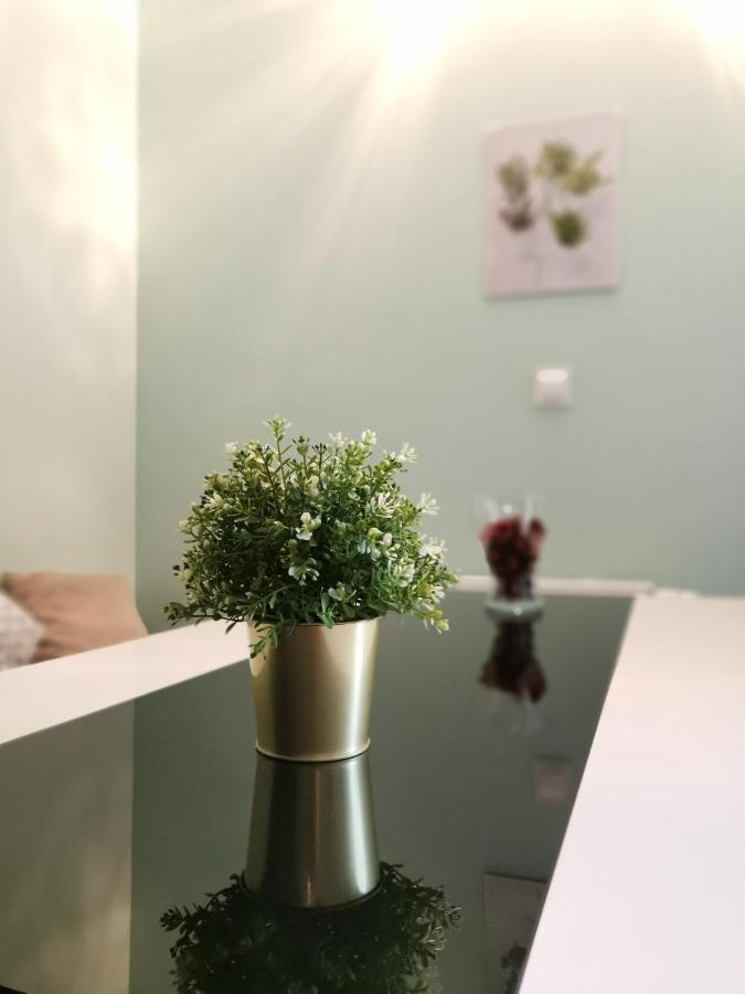 Maglonia Apartment Breslavia Esterno foto